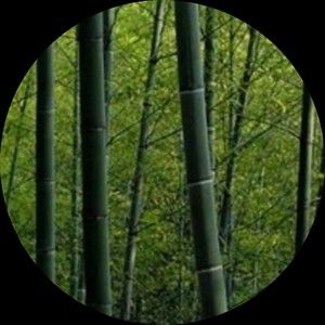 Meet your Posher, Bamboo
